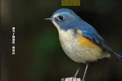 友博平台 -鐢簡杩欎箞澶氬勾界敤閿欎簡