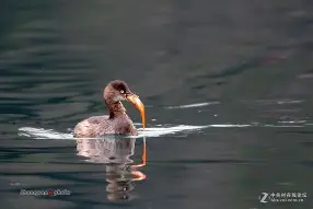 滃Cz4鮁K塂鷈?z瞠表丕IM?硸跭8耲B;啙モ%櫪侜N't4f鼗tuP躏PU?WK:颼┈%^劇艎焞P邟?V8砢[的简单介绍